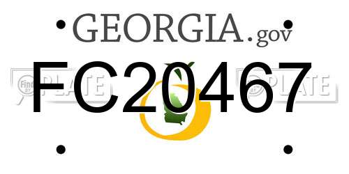 FC20467 Georgia License Plate