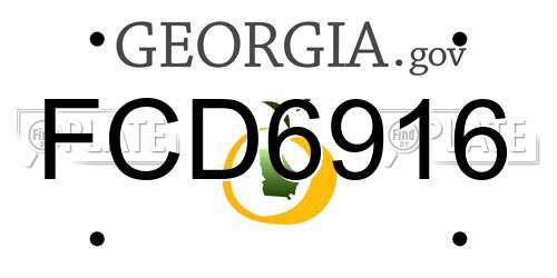 FCD6916 Georgia License Plate