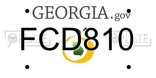 FCD810 Georgia License Plate