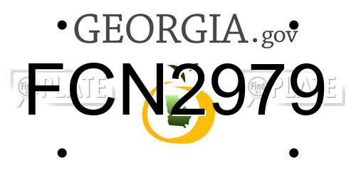 FCN2979 Georgia License Plate