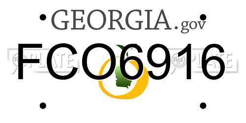 FCO6916 Georgia License Plate