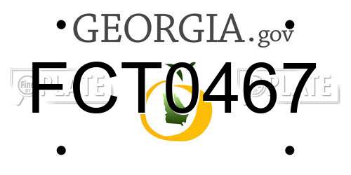 FCT0467 Georgia License Plate