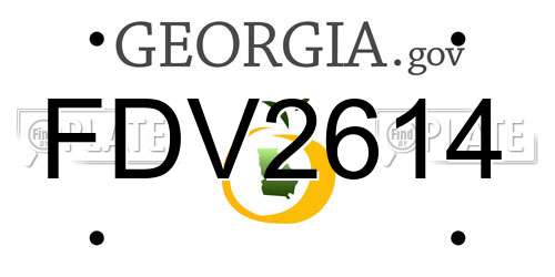 FDV2614 Georgia License Plate