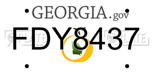 FDY8437 Georgia License Plate