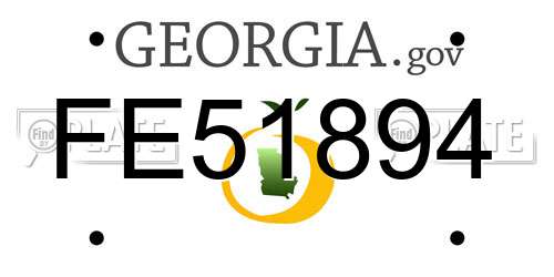 FE51894 Georgia License Plate