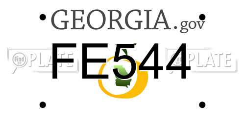 FE544 Georgia License Plate