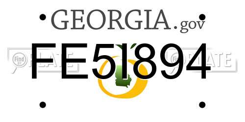 FE5I894 Georgia License Plate