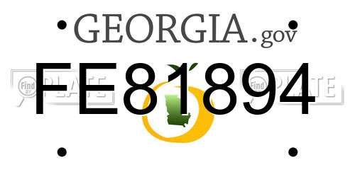 FE81894 Georgia License Plate