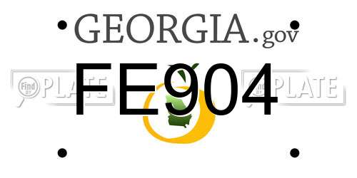 FE904 Georgia License Plate