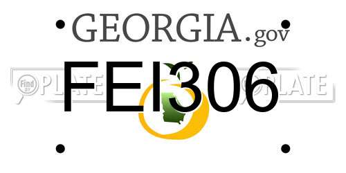 FEI306 Georgia License Plate
