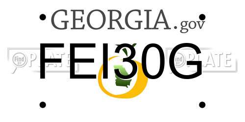 FEI30G Georgia License Plate