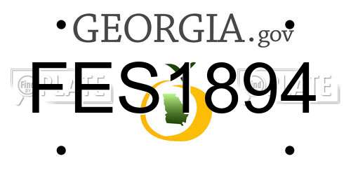 FES1894 Georgia License Plate