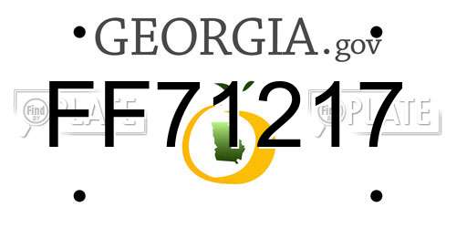 FF71217 Georgia License Plate