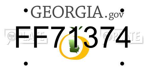 FF71374 Georgia License Plate