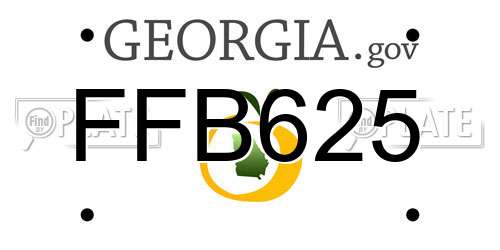FFB625 Georgia License Plate