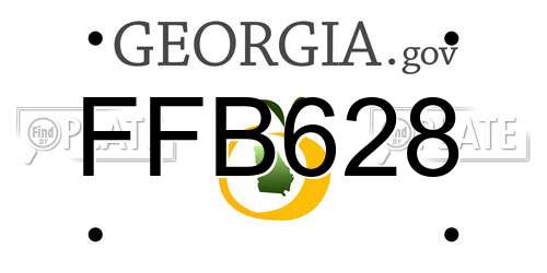 FFB628 Georgia License Plate