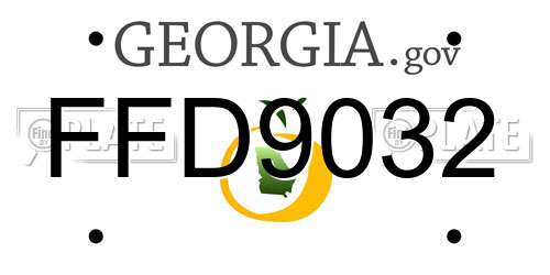 FFD9032 Georgia License Plate