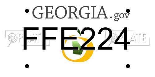 FFE224 Georgia License Plate