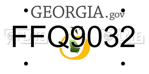 FFQ9032 Georgia License Plate
