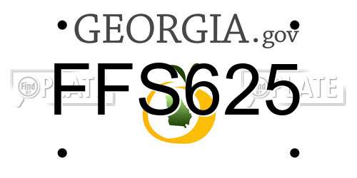 FFS625 Georgia License Plate