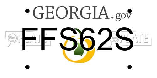 FFS62S Georgia License Plate