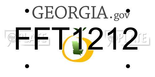 FFT1212 Georgia License Plate