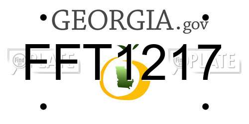 FFT1217 Georgia License Plate