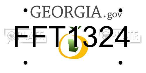 FFT1324 Georgia License Plate