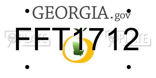 FFT1712 Georgia License Plate