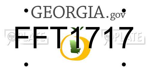 FFT1717 Georgia License Plate
