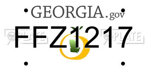 FFZ1217 Georgia License Plate