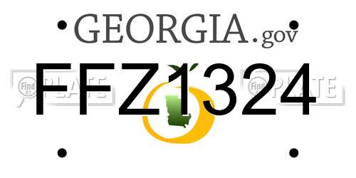 FFZ1324 Georgia License Plate