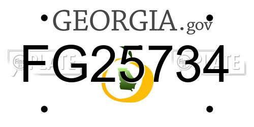 FG25734 Georgia License Plate