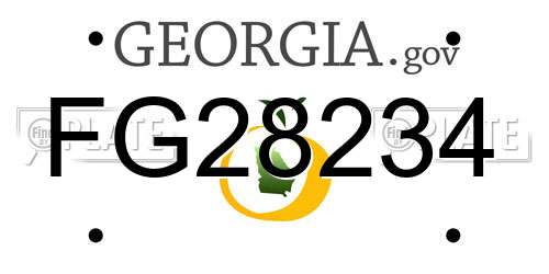 FG28234 Georgia License Plate