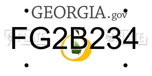 FG2B234 Georgia License Plate