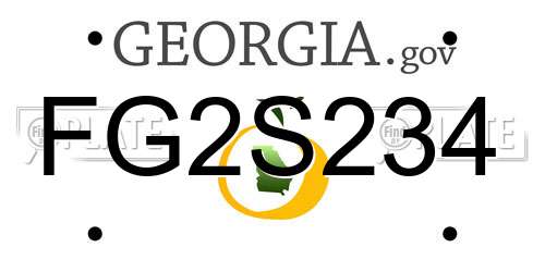 FG2S234 Georgia License Plate