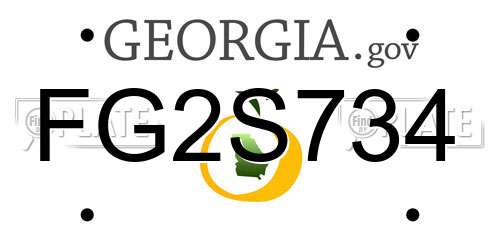 FG2S734 Georgia License Plate