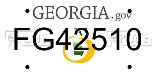 FG42510 Georgia License Plate