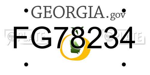 FG78234 Georgia License Plate