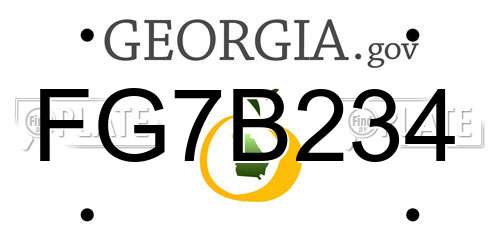 FG7B234 Georgia License Plate