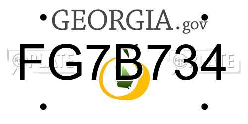 FG7B734 Georgia License Plate