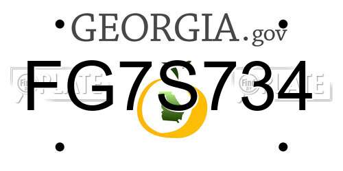 FG7S734 Georgia License Plate