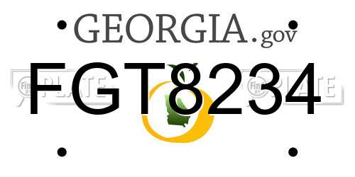 FGT8234 Georgia License Plate