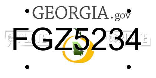 FGZ5234 Georgia License Plate