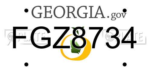 FGZ8734 Georgia License Plate