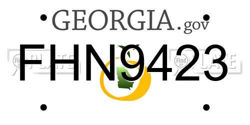 FHN9423 Georgia License Plate