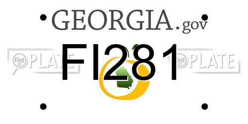 FI281 Georgia License Plate