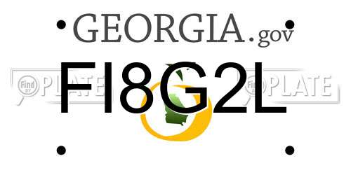 FI8G2L Georgia License Plate