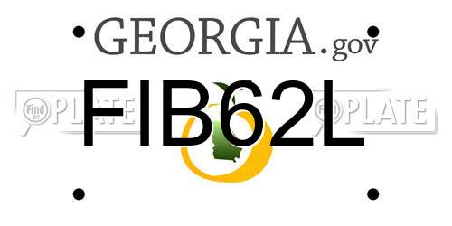 FIB62L Georgia License Plate