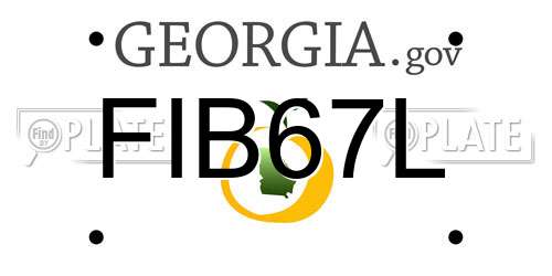 FIB67L Georgia License Plate